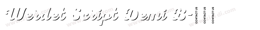 Werdet Script Demi B字体转换